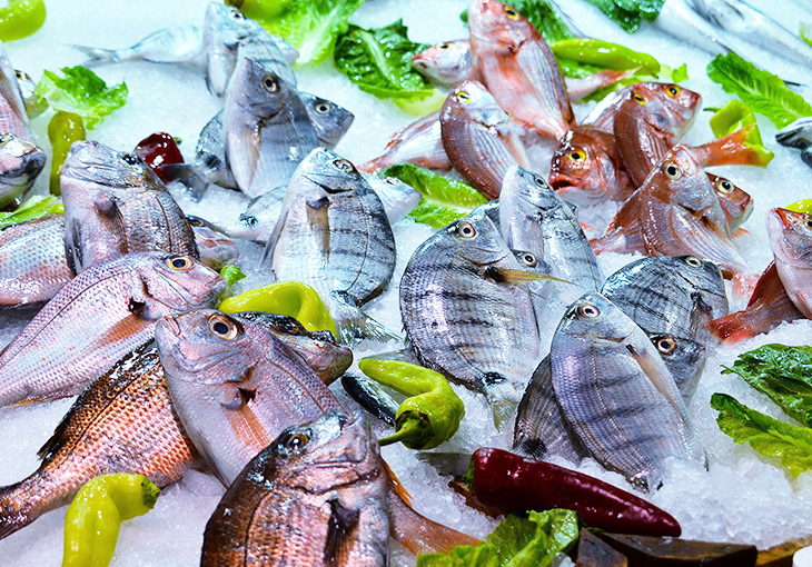 食物冷冻冷藏及深加工系统解决计划